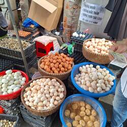 Many kinds of fresh eggs. We bought 2 duck eggs