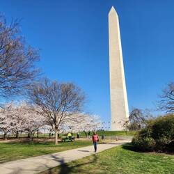 Washington Monument