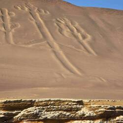 Candelabra, cactus, ufo guide, who knows