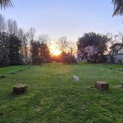 Coucher de soleil sur notre jardin ...