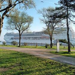 Fetter MSC Liner eingelaufen
