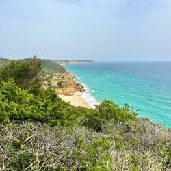 Dazwischen tauchen immer mal wieder..