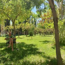 Campingplatz mit Obstgarten