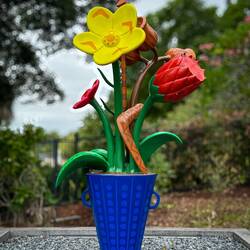 Welcome to the Brisbane Botanic Gardens on Mt Coot-tha.