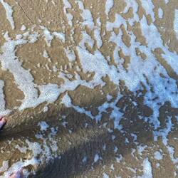 Füße wurden ordnungsgemäß einmal ins Meer getunkt