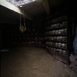 Totenschädel im Regal