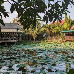 Mama Noi cooking school