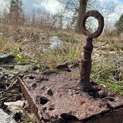 Einst lebten der König und die Königin in einem alten Schloss im Wald...