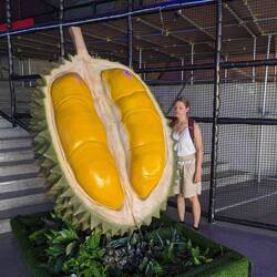 Durin Frucht - riecht sehr eklig