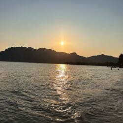 facts: tgl. km gelaufen 5,4