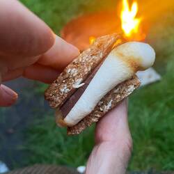 S'more marshmallowy treats.