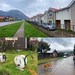 Auch hier gibt es diese typischen Reihenhäuser 🤪