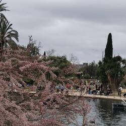 Ich bin etwas zu kühl angezogen, um länger im Park zu verweilen...