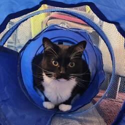 New toy she loves from her vacation