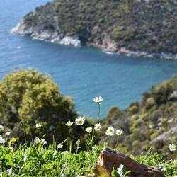 Randonnée à l'extrême sud de la péninsule - Sithonia cape
