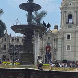 Buzzards on a fountain