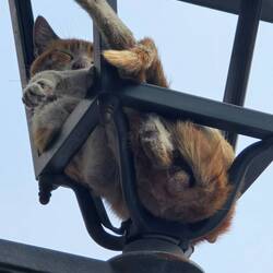 Angela days his name is Tom