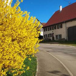 Wir bringen Farbe ins Bild