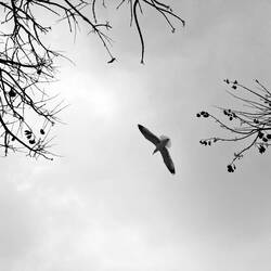 ..sodass das Wandergefühl etwas verloren geht.