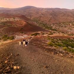 Its darker and colder and more windy than it looks