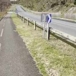 Abgebrannte Pinienwälder südlich von Arcachon