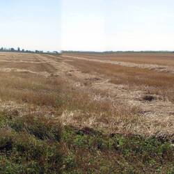 The golden feilds and flat countryside we passed through on our morning ride