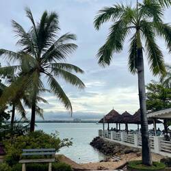 Palms line up at the promenade of the Slipway Hotel