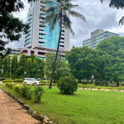 Some cars parked in the middle of the "Jakaya M. Kikwete Youth Park" in the city centre
