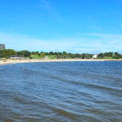 Σκατί θάλασσα