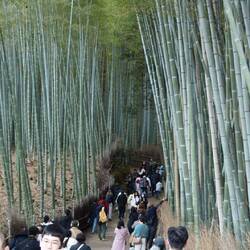 ...oder doch nicht so einsam