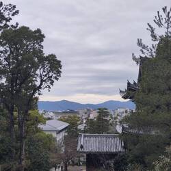 Ein Sinnbild Kyotos: von Bergen umrahmt liegt eine flach gebaute Stadt mit vielen Tempeln und Parks