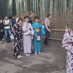 Instagram Posen gehen auch im Kimono