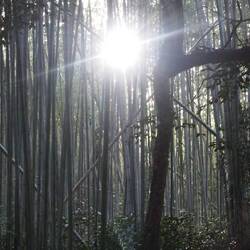 mit etwas Zoom und Schnitt bekommt man auch schöne Bilder