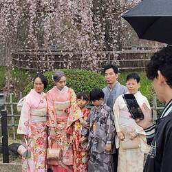 Sakura - die Kirschblüte wird für traditionelle und professionelle Familienfotos genutzt