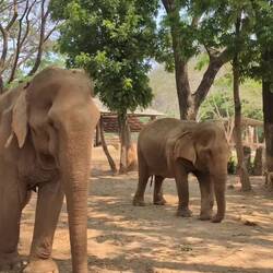 Couldn't choose just two videos so made a montage