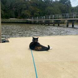 Princess Luna on the dock