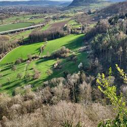 Blick auf den Hohentwiel