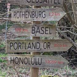 Decisions, decisions...