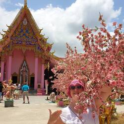 Wunderschöne Kirschblüten...🤭