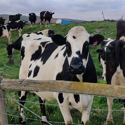 Elle je l'ai appelé Princess, parce qu'elle est vraiment trop belle