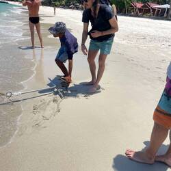 Bene unterstützt beim Ankern