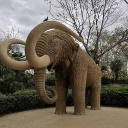 Wow - Mammut ohne Touris! Ein seltenes Bild!