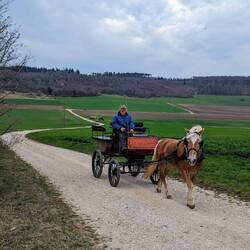 I told him I've ridden from Bremen. He raised an eyebrow, and sauntered on.
