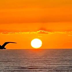 Schöner Sonnenuntergang