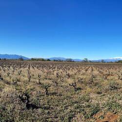 Wie schön der Himmel zwischen Perpignan und dem Mittelmeer
