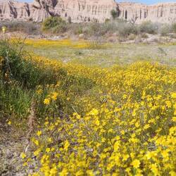 Red Rock State Park