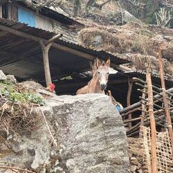 Wir wurden beobachtet 🤣