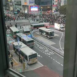 Shibuya Crossing