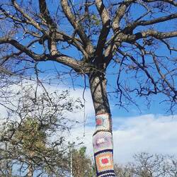In Köln werden ja eher Pfähle umhäkelt... Darunter bekamen wir einen unerwartet guten Cortado