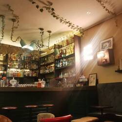 🐘🐘🐘🐘🐘🐘